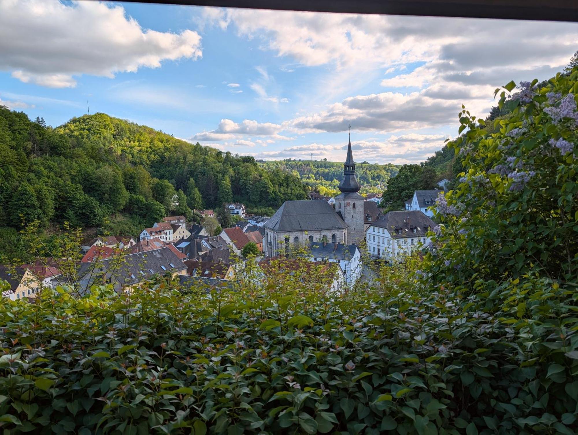 Pension Hofer Бад-Бернек  Экстерьер фото